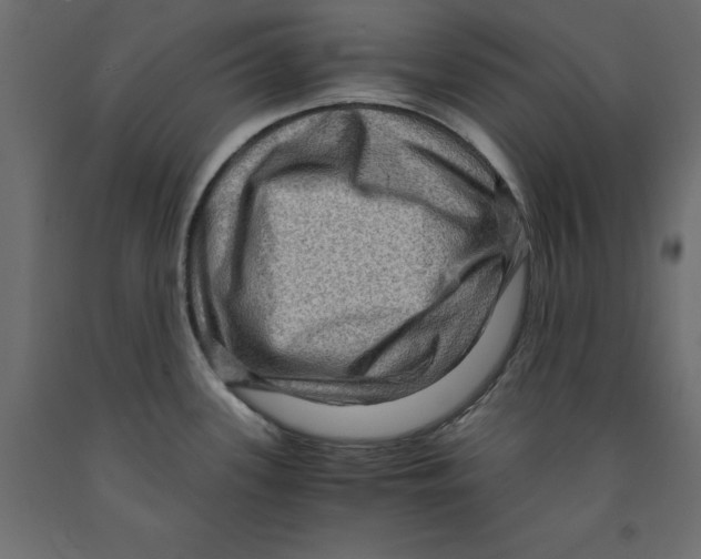 X0000091961339200710041020