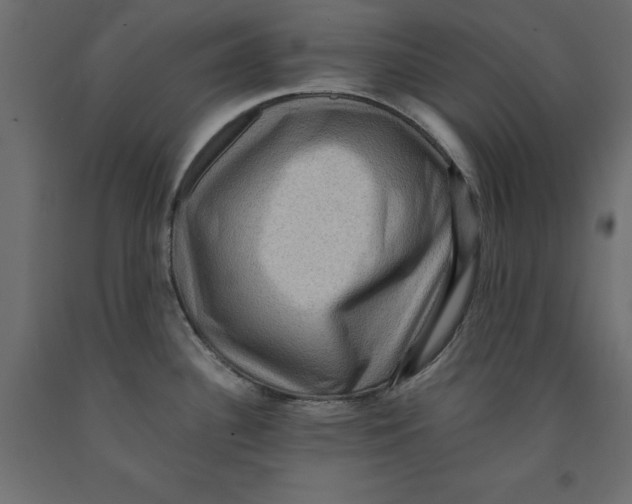 X0000091961340200710041020