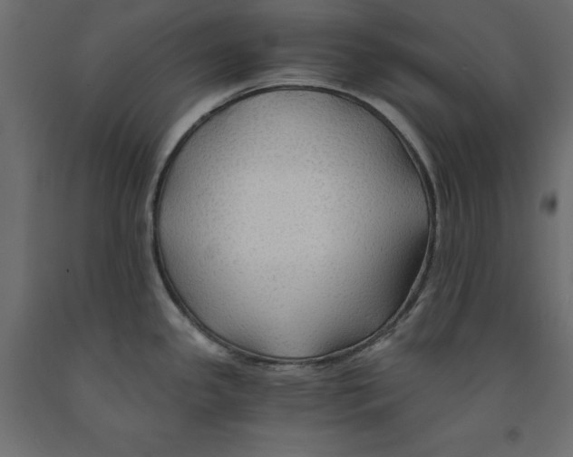 X0000091961341200710041020