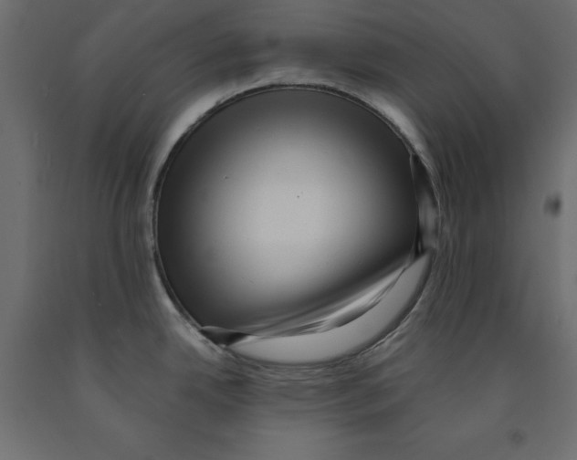 X0000091961342200710041020
