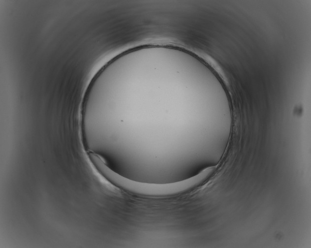 X0000091961343200710041020