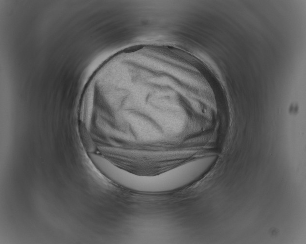 X0000091961344200710041020