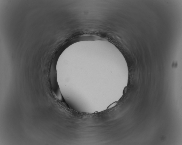 X0000091961345200710041020