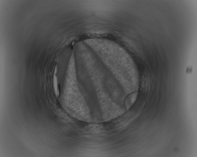X0000091961346200710041020