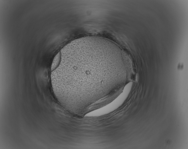 X0000091961347200710041020