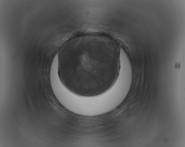 X0000091961348200710041020