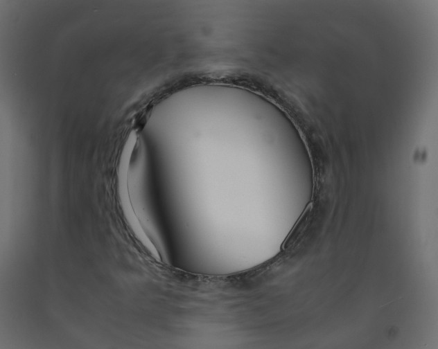 X0000091961349200710041020