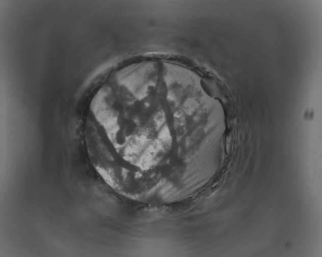 X0000091961351200710041020