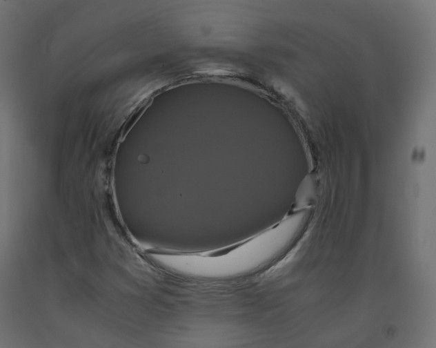 X0000091961353200710041020