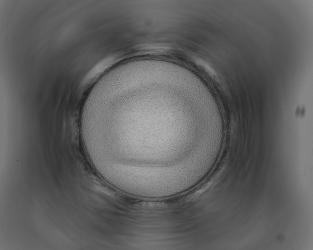 X0000091961354200710041020