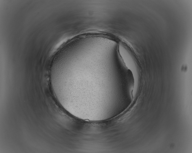 X0000091961355200710041020