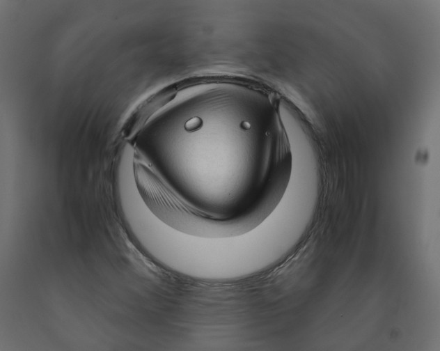X0000091961356200710041020
