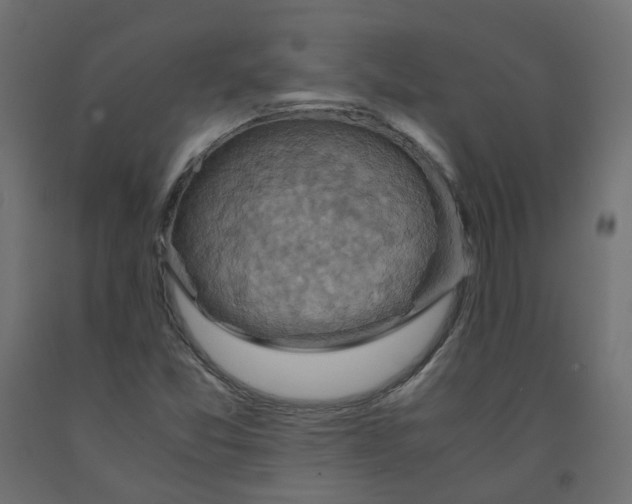 X0000091961357200710041020
