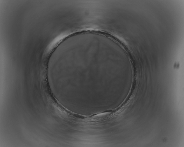 X0000091961359200710041020