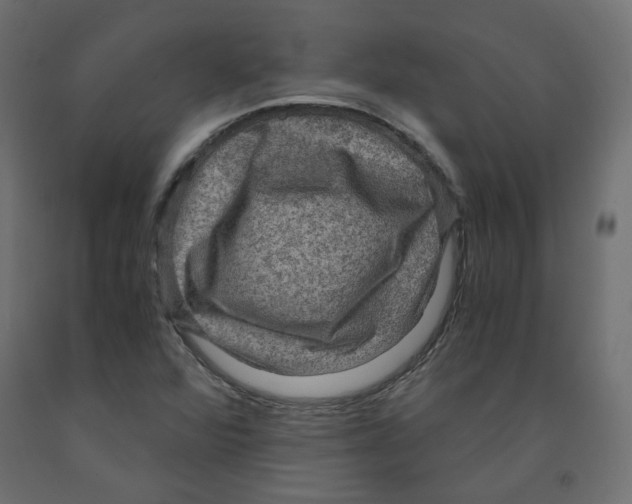 X0000091961360200710041020