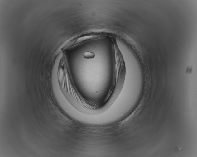 X0000091961361200710041020