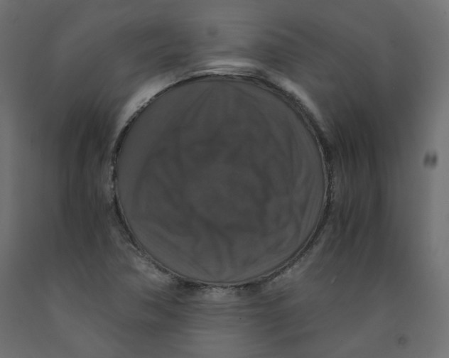 X0000091961362200710041020