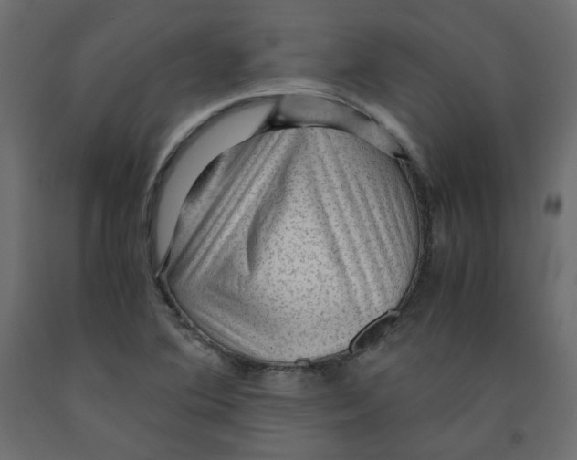 X0000091961364200710041020