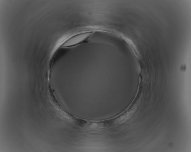 X0000091961365200710041020