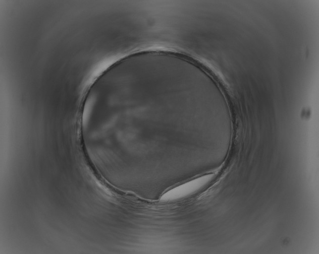 X0000091961367200710041020