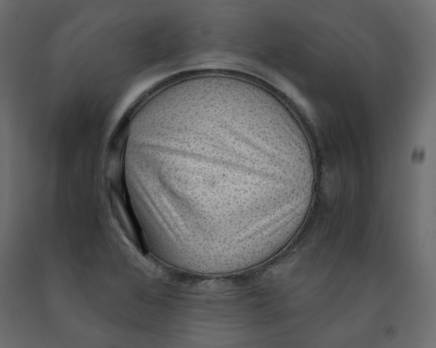 X0000091961368200710041020