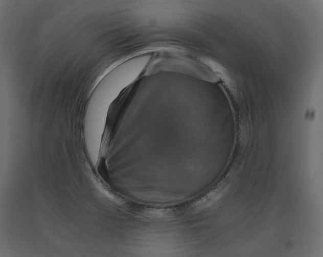 X0000091961369200710041020
