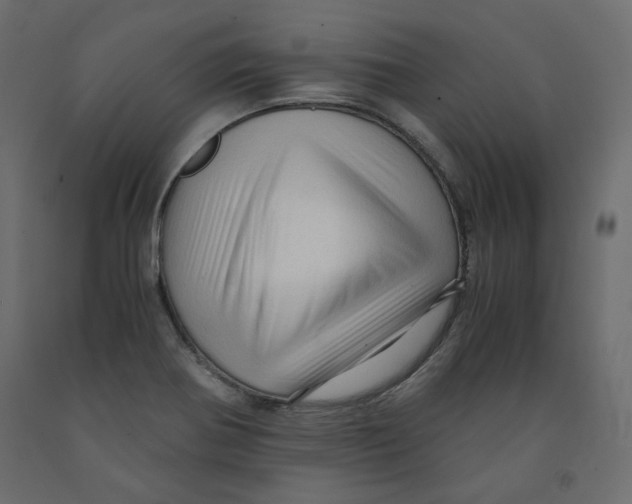 X0000091961370200710041020
