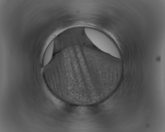 X0000091961371200710041020