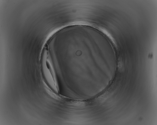 X0000091961372200710041020
