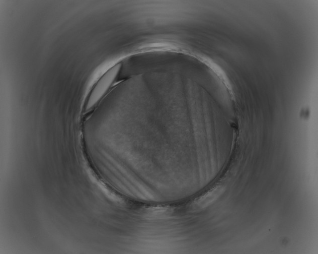 X0000091961373200710041020