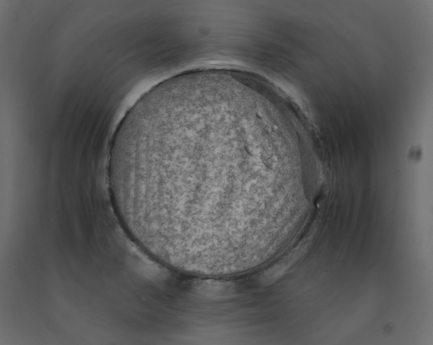 X0000091961374200710041020