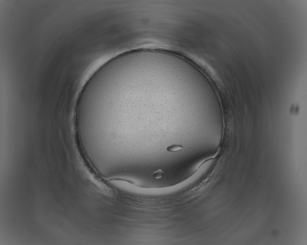 X0000091961375200710041020