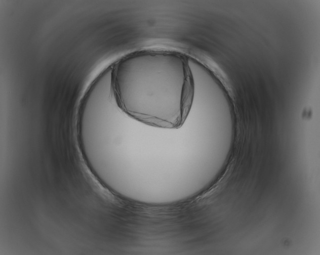 X0000091961376200710041020