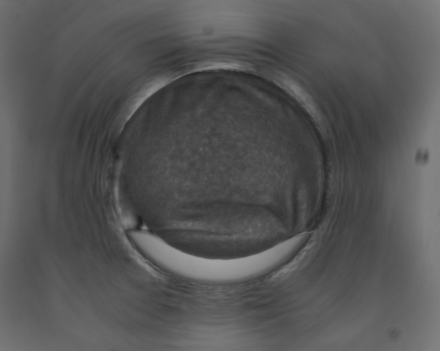 X0000091961377200710041019