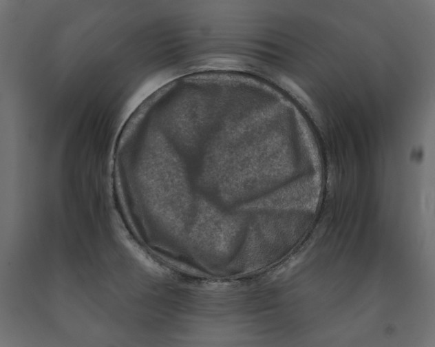X0000091961378200710041019
