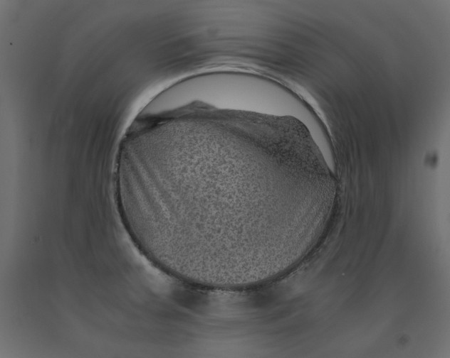 X0000091961379200710041019