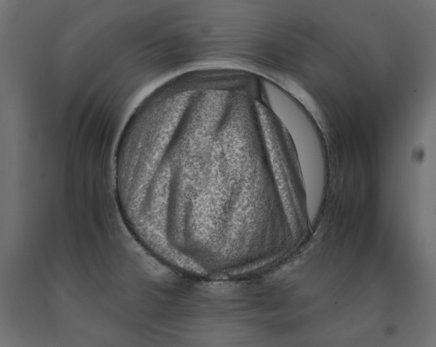 X0000091961380200710041019