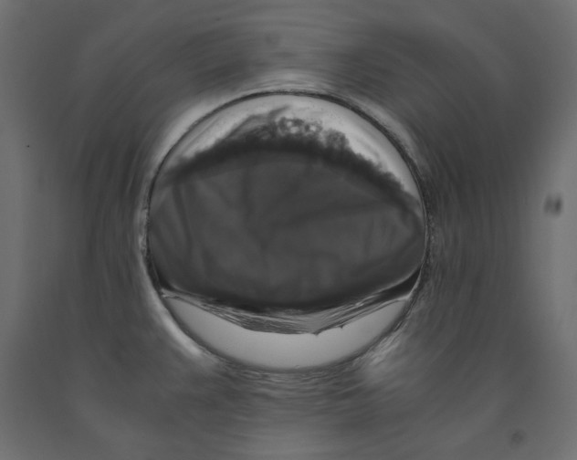 X0000091961383200710041019