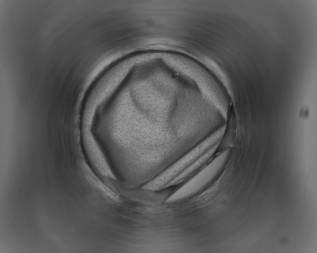 X0000091961384200710041019