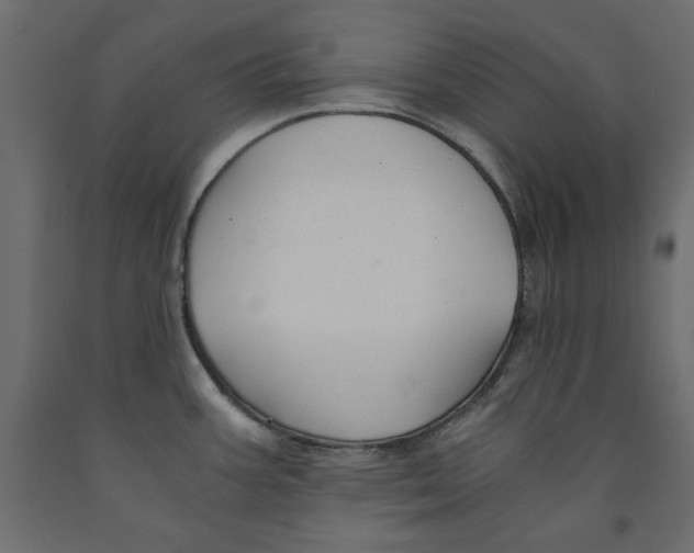 X0000091961387200710041019