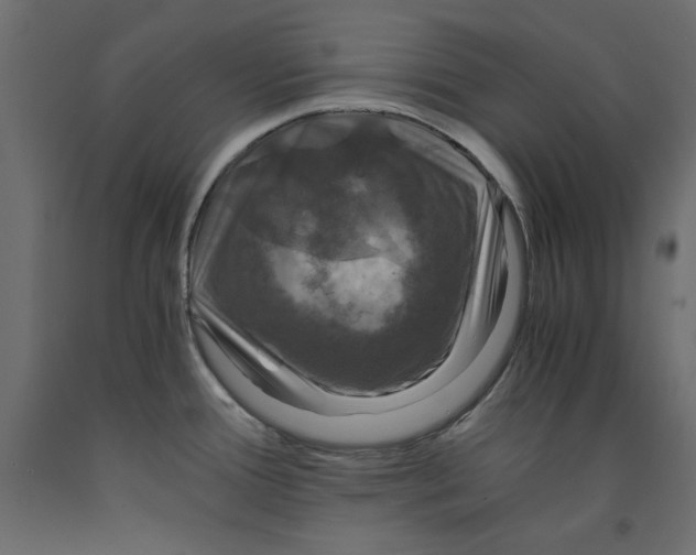 X0000091961388200710041019