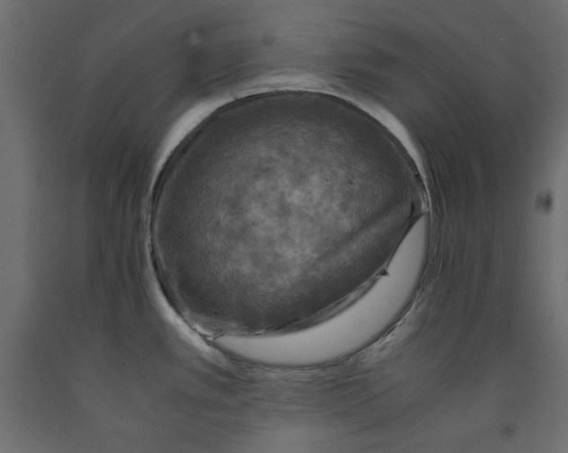 X0000091961389200710041019