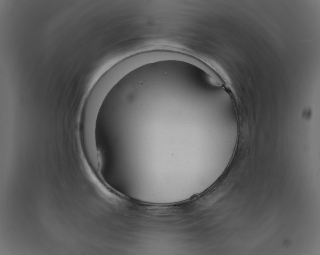 X0000091961391200710041019