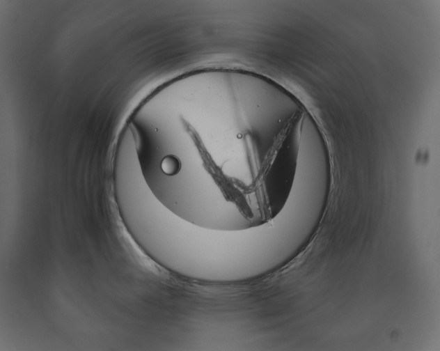 X0000091961392200710041019
