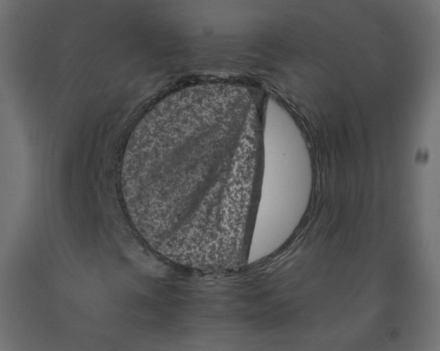 X0000091961393200710041019