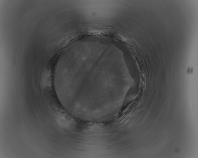 X0000091961394200710041019