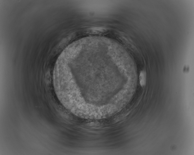 X0000091961395200710041019