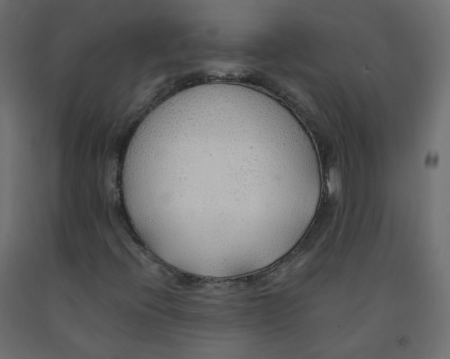 X0000091961396200710041019
