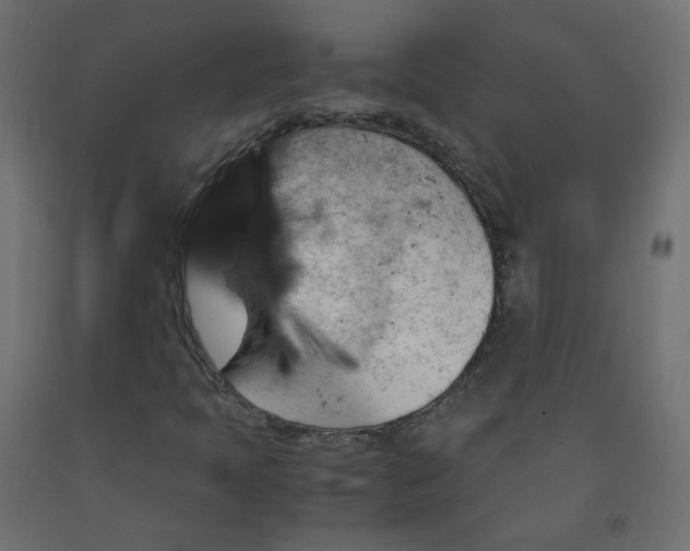 X0000091961397200710041019