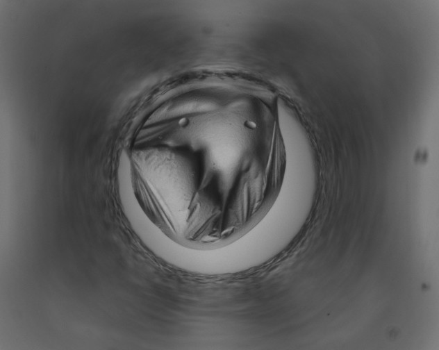 X0000091961398200710041019